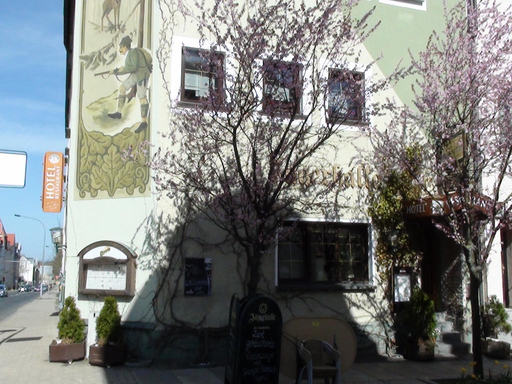 Hotel Jaegerhalle Falkenstein  Ngoại thất bức ảnh